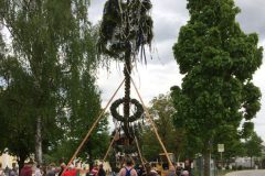 180501-Maibaum3